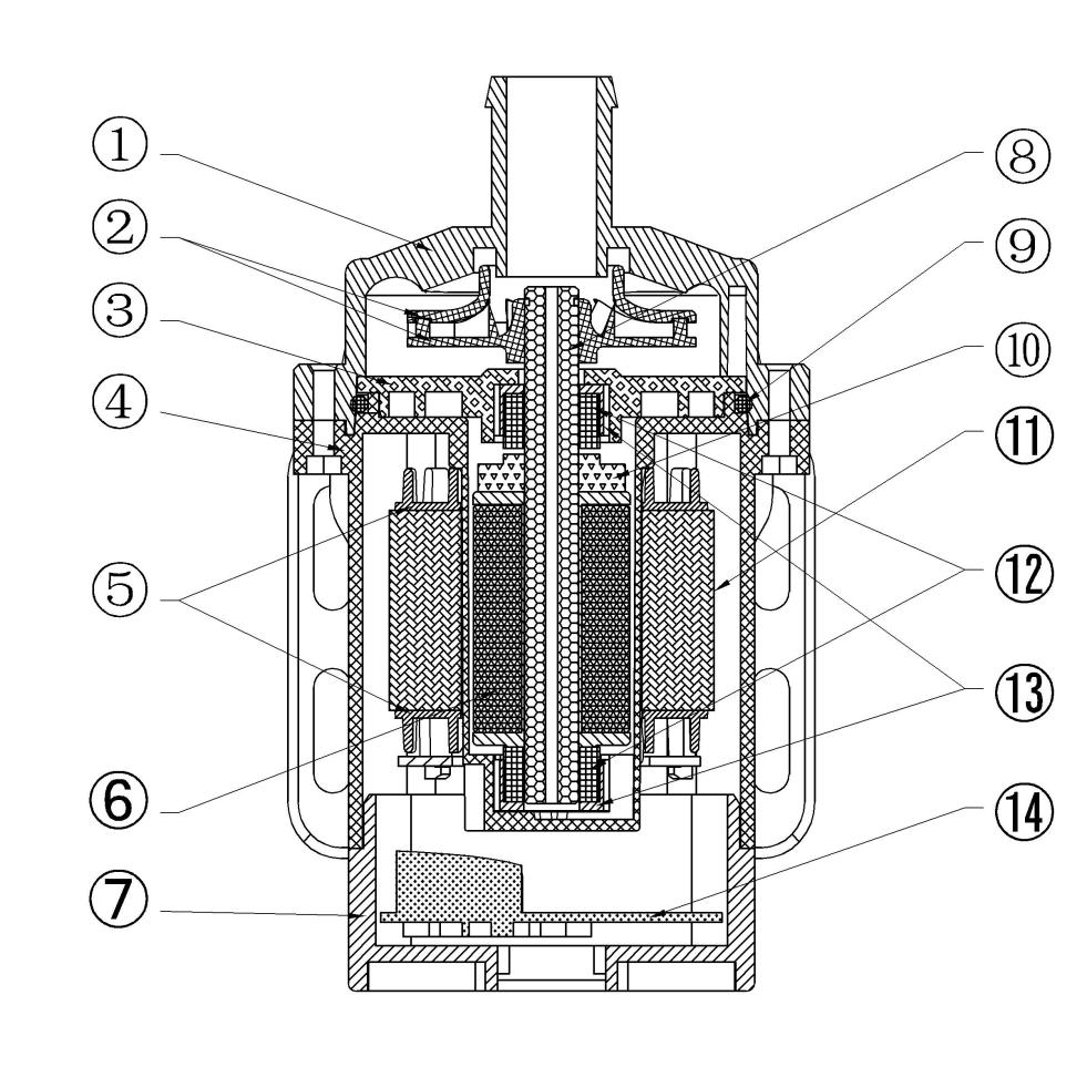 DTRHFG (11)